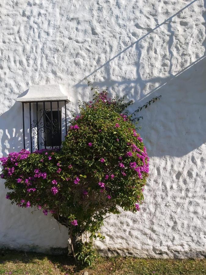 Benamara Gardens, Apartment With Pool, 100M From Beach Near Marbella & Estepona Luaran gambar